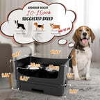 Mess Proof Raised Dog Bowls,Elevated Dog Bowl Stand Set 2 Stainless Steel Food Bowls,Splash Water Collection Non-Slip Medium Sized Feeding Table