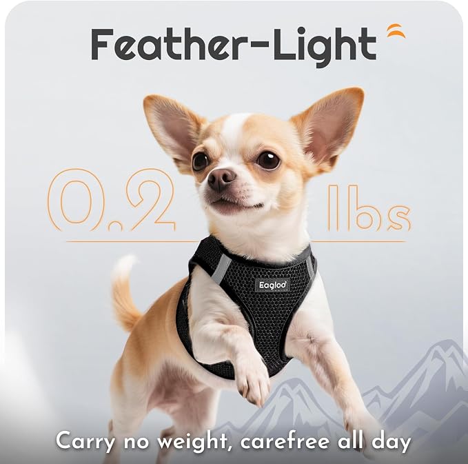 Eagloo Small Dog Harness and Leash Set, Step in Medium Small Puppy Pet Vest | Light, Soft, Breathable Air Mesh, Easy on and off with Hook & Loop, Reflective for Safe Walking, Black, M