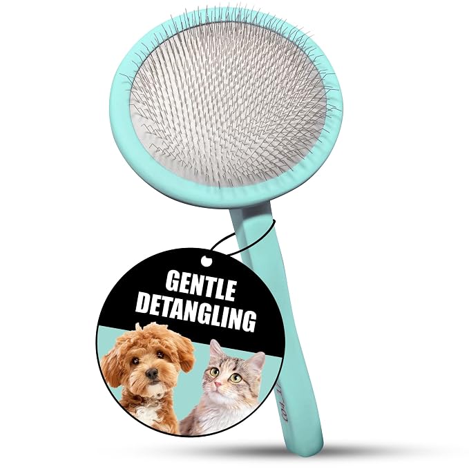 Tauro Pro Line Deshedding Wooden Brush for Dogs & Cats, Medium (M), Mint | Dematting & Detangling, for Mid-Length to Long Coats, Round Flexible Cushion, Ideal for Cocker Spaniels