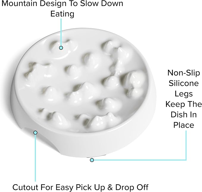 CatGuru Whisker-Friendly Slow Feeder Cat Bowl for Healthy Digestion | Perfect for kittens, adult, and senior cats. Encourages calm, healthy eating habits at every age.