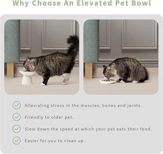 CEEFU 2-Pack Elevated Ceramic Cat Bowls Extra Wide for Food & Water | Anti Vomiting, Whisker Friendly, Shallow Food Dish and Deep Water Bowl, Lead&Cadmium-Free, Raised Height for Cats, White