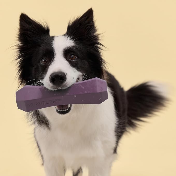 Playology Dog Toys | Squeaky Chew Stick for Large Dogs | Bacon Scented Jumbo Fetch Toy | Squeaky Dog Chew Toy