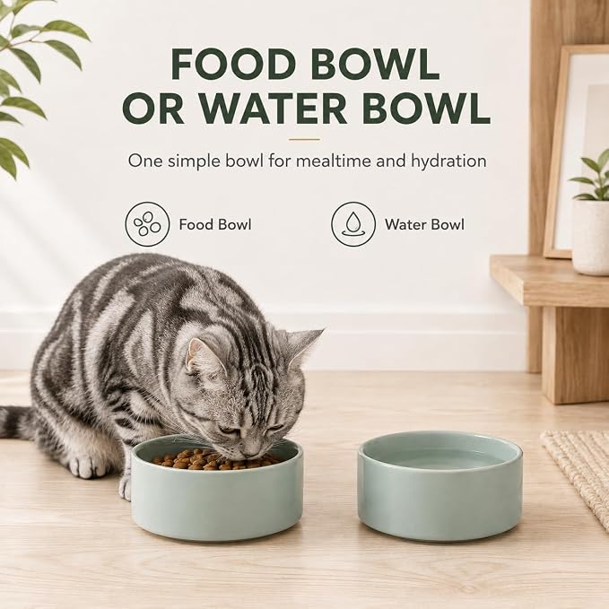 Havniva Cat Bowls Set of Two, 5.1” Ceramic Cat Food and Water Bowls | Cat Food Bowls Whisker Friendly, Non-Slip Base, Food-Grade Ceramic, Wide Opening, Dishwasher Safe, Cat Bowls for Indoor Cats
