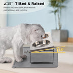 Summark Upgraded Elevated Cat Bowls with Food Mat,15°Tilted Stand Anti Vomiting Raised Cat Dishes for Food and Water,2 Stainless Steel Bowls for Cats and Puppy（Gray）