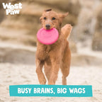 WEST PAW Zogoflex Zisc Dog Flying Disc, High Flying Aerodynamic Disc for Dogs Puppy – Lightweight, Floatable Disc for Fetch, Tug of War, Catch, Play – Doubles as Food/Water Bowl, Large 8.5", Geranium