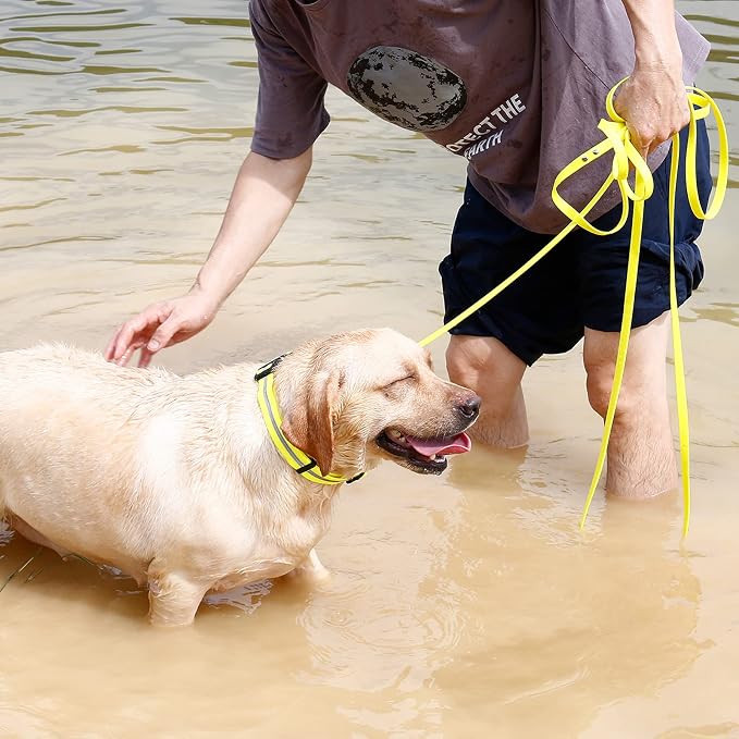 Waterproof Long Dog Leash Recall Training Lead 5 10 16 30 50 Foot for Large Medium Small Dogs Outdoor Training Walking Playing and Camping