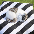 Dog Bed Tent,Portable Pet Tent for Cats or Small Dogs,Removable & Washable,Indoor Dog House with Thick Cushion,Cat Tents for Indoor Cats,Soft,Cozy,Pet Teepee,Dog Cabana Outdoor(White&Black)