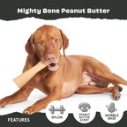 Barkbox Super Chewer Tough Dog Chew Toys for Aggressive Chewers, Dental Stimulating (PB Bone - Large) | Durable Dog Toy for Aggressive Chewers - Peanut Butter Scented Chew