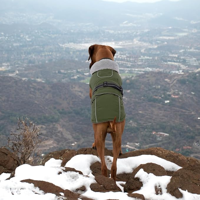Lelepet Dog Coats for Large Dogs Waterproof Dog Jacket with Adjustable Fit | Windproof Cold Weather Coats with Adjustable Buckle & Leash Hole Reflective Winter Jackets for Large Dogs, Army Green, L