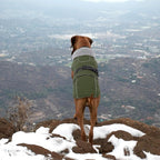 Lelepet Dog Coat Reflective Fleece Vest Dog Jacket with Adjustable Buckle | Reflective Fleeve Vest Adjustable Hook & Loop Closure Cold Weather Coats for Small Medium Large Dogs,Leash Hole Army Green, S