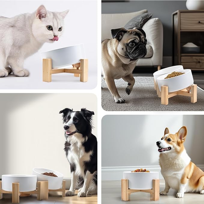 SPUNKYJUNKY 15° Slanted Ceramic Dog and Cat Bowl with Wooden Stand, Tilted Bulldog Food and Water Bowl No Slip Non-Spill for Cats Medium Dogs Big Face Pets 13.5 OZ (1.7 Cups, White × 2)