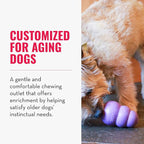 KONG Senior - Dog Toy with Gentle, Natural Rubber - Durable Dog Toy for Older Dogs - Use Treats with Stuffable Chew Toy - Treat Toy for Chewing & Fetching - for Small Dogs (Pack of 2)
