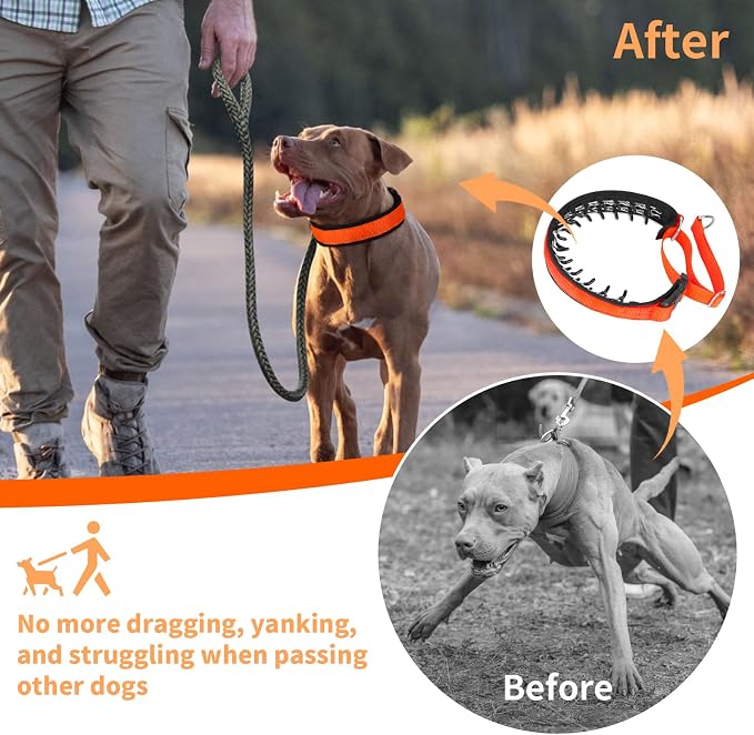 Mayerzon Martingale No Pull Collar for Medium Large Dogs | Sunset Orange, L | Patented Anti Pull Dog Collar with Buckle for Walking Training, Neoprene Padding, Adjustable, Hidden Design, 2.5mm Links