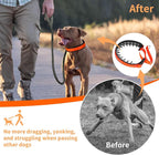 Mayerzon Martingale No Pull Collar for Medium Large Dogs | Sunset Orange, L | Patented Anti Pull Dog Collar with Buckle for Walking Training, Neoprene Padding, Adjustable, Hidden Design, 2.5mm Links