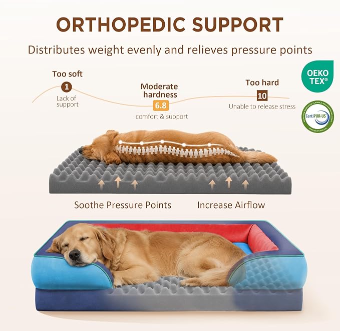 Comfort Expression Orthopedic Dog Beds for Large Sized Dog with Bolster | Waterproof Dog Couch Bed with Washable Cover & Non-Slip Bottom, Supportive Egg Crate Foam Large Pet Bed, 36x27 Inch