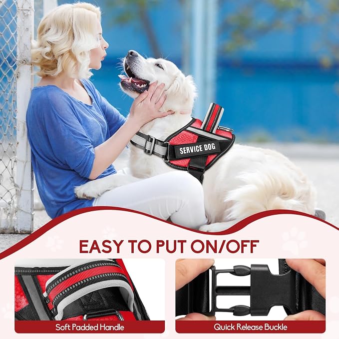 Service Dog Vest Harness and Leash Set, Animire in Training Dog Harness with 10 Dog Patches, Reflective Dog Leash with Soft Padded Handle for Small, Medium, Large, and Extra-Large Dogs
