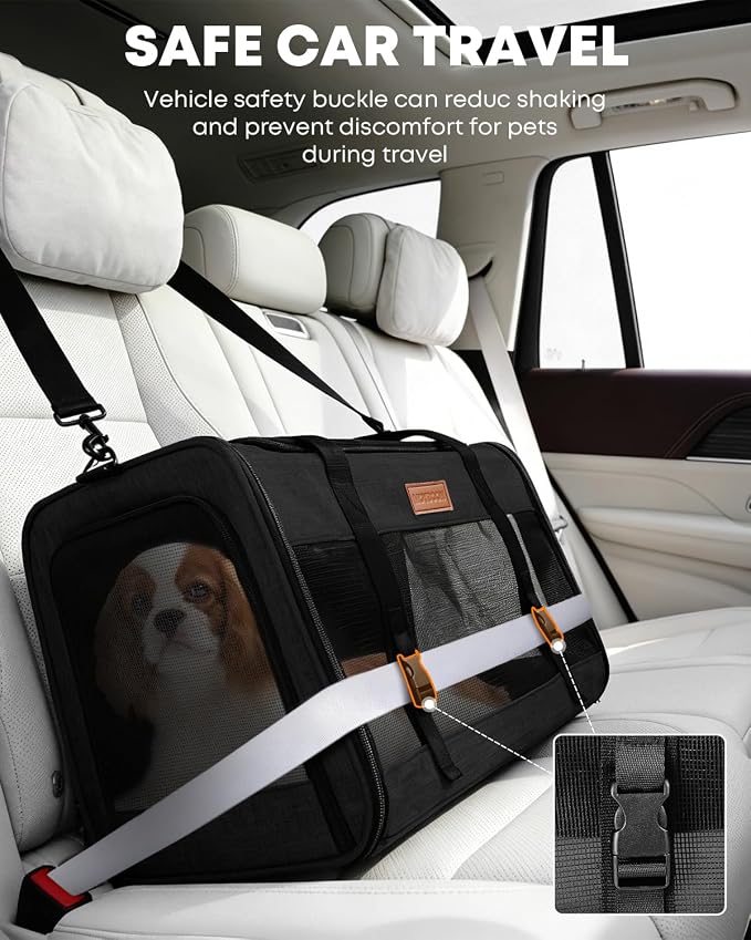 Foldable Cat Dog Carrier for Pets up to 15 Lb, Black | Top & Side Entry, Soft-Sided Pet Carrier with Ventilated Anti-Scratch Mesh & Car Seat Buckle for Car Travel, 20×13×13 in