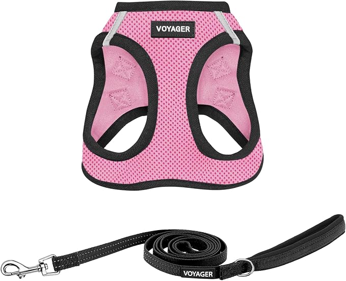 Best Pet Supplies Voyager Step-in Air All Weather Mesh Harness and Reflective Dog 5ft Leash Combo with Neoprene Handle, for Small, Medium and Large Breed Puppies - Pink Base, Small