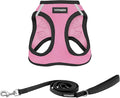 Best Pet Supplies Voyager Step-in Air All Weather Mesh Harness and Reflective Dog 5ft Leash Combo with Neoprene Handle, for Small, Medium and Large Breed Puppies - Pink Base, Medium