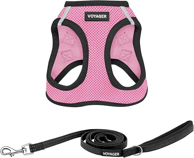 Best Pet Supplies Voyager Step-in Air All Weather Mesh Harness and Reflective Dog 5ft Leash Combo with Neoprene Handle, for Small, Medium and Large Breed Puppies - Pink Base, Large