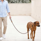Mile High Life Dog Leash Braided Cotton Rope with Leather-Reinforced Ends | Rust-proof 360° swivel clasp, Heavy-duty for medium/large breeds. Great for weddings, daily walks (5 FT, 1/2", Camel)
