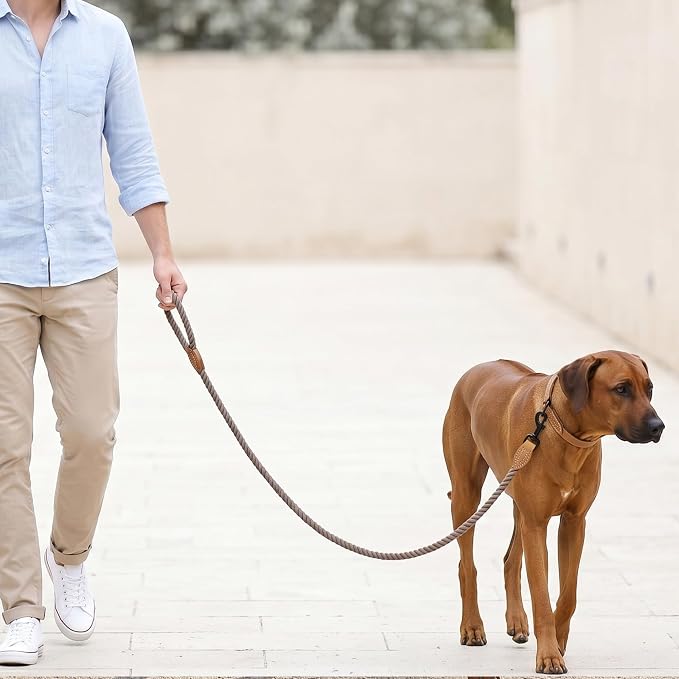 Mile High Life Dog Leash Braided Cotton Rope with Leather-Reinforced Ends | Rust-proof 360° swivel clasp, Heavy-duty for medium/large breeds. Great for weddings, daily walks (4 FT, 1/2", Camel)