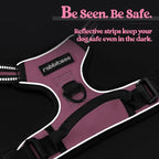 rabbitgoo Dog Harness, No Pull Medium Sized with 2 Leash Clips, Pet Vest | No Choke with Handle, Adjustable Soft Padded, Reflective, Easy Control for Walking, Pink, Medium