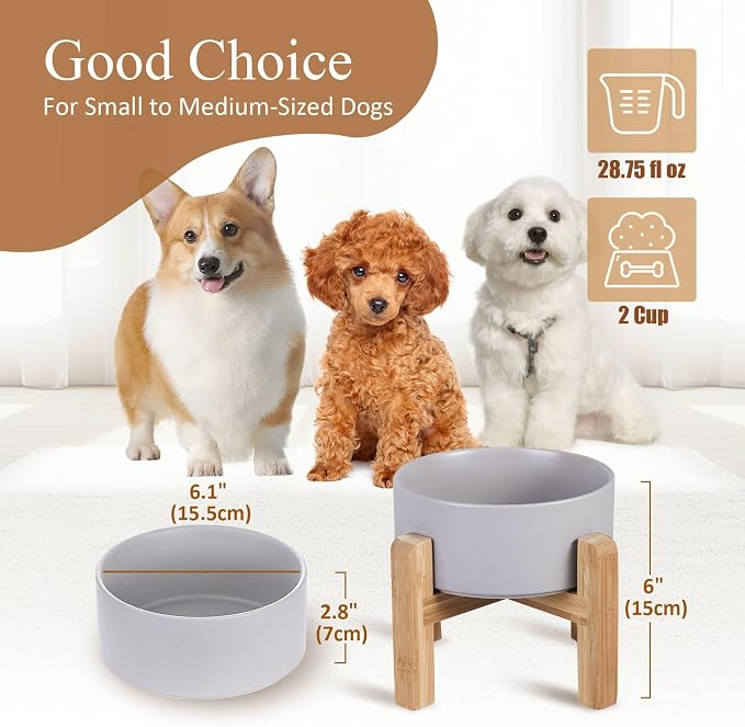 Ceramic Elevated Raised Cat Bowl with Wood Stand No Spill Pet Food Water Feeder Cats Small Dogs