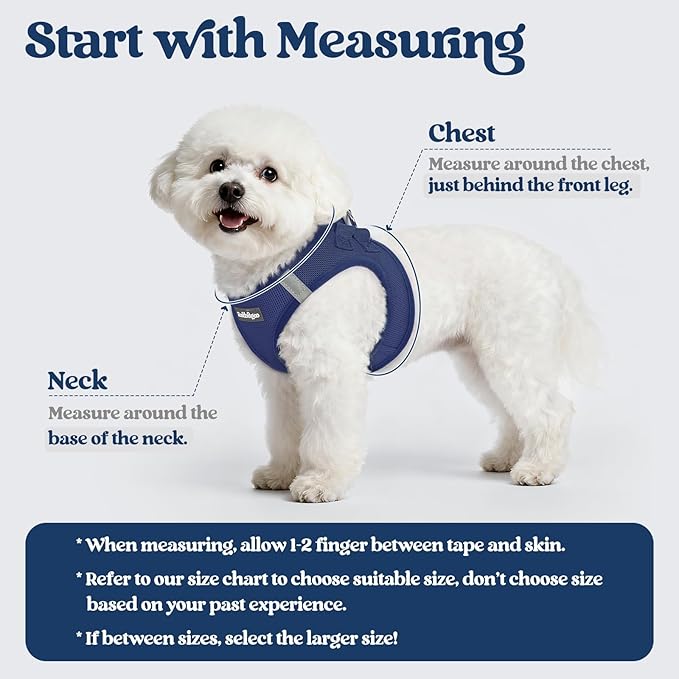 rabbitgoo Dog Harness Small Sized and Leash Set, Step-in Puppy Pet Vest | Light, Soft, Breathable Air Mesh, Easy on and Remove with Hook & Loop, Secure Reflective for Walking, Navy Blue XS