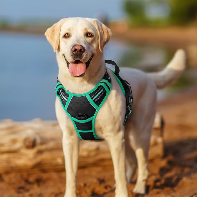 rabbitgoo Dog Harness, No Pull Medium Sized with 2 Leash Clips, Pet Vest | No Choke with Handle, Adjustable Soft Padded, Reflective, Easy Control for Walking, Black & Turquoise, Medium