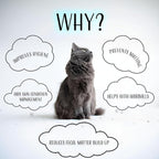 2 in 1 Cat Butt Trimmer & Vacuum, Low Noise Vacuum Suction, 2-Speed Quiet Pet Groomer, USB Rechargeable