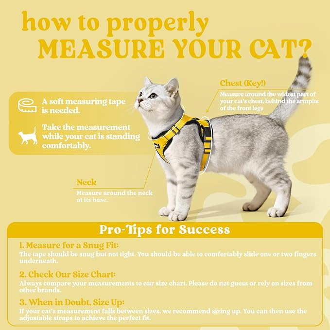 rabbitgoo Cat Harness and Leash Set, Escape Proof Vest, Yellow | Soft Breathable Mesh, Easy Adjustable Fit, Snap Buckles, Sturdy Clip, Reflective Strips, for Kittens & Small Cats Walks, Xxs