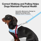 VETRESKA Dog Harness and Leash Set, Adjustable Pet Harness Easy Control, S | No Choke Dog Harness for Small, Medium Dogs, Cats, Kitten, Dog Vest Harness with Anti-Tangle Leash (Misty Melo)