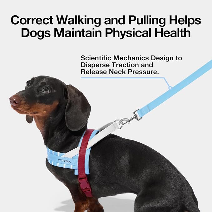 VETRESKA Dog Harness Small Sized Dog, Adjustable No Choke Puppy Harness XS | No Pull, Easy Control Pet Harness Vest for Dogs, Cat, Kitten, Dog Harness with Anti-Tangle Dog Leash Set (Misty Melo)