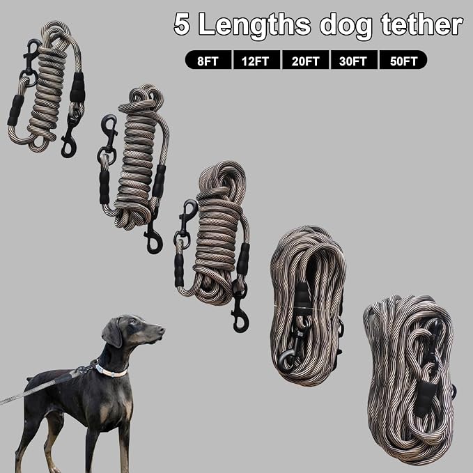 BTINESFUL Dog Tie Out Long Tether Rope Dog Lead for Yard 8/12/20/30/50/75ft | Large Medium Dogs Outdoor Training, Playing, Camping, Backyard Dog Leash (30 Foot, Beige Black)