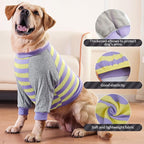 FUAMEY Dog Recovery Sleeve with Elbow Protector, Purple Stripes M | Stop Licking Joints,Pet Long Sleeve Suit Protecting Dog's Front Leg Arm Wounds Cover Skin Conditions,Hot Spots