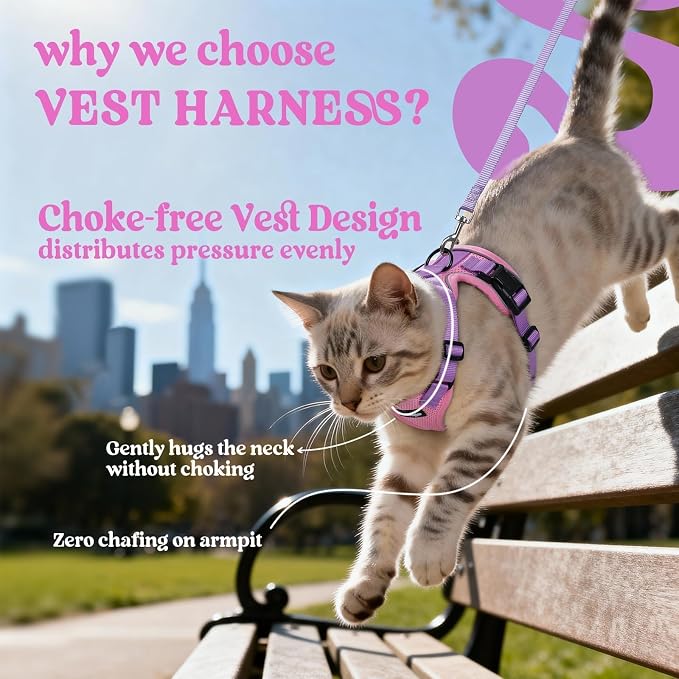 rabbitgoo Cat Harness and Leash Set, Escape Proof Vest, Pink & Light Purple | Soft Breathable Mesh, Easy Adjustable Fit, Snap Buckles, Sturdy Clip, Reflective Strips, for Kittens & Small Cats Walks, Xxs