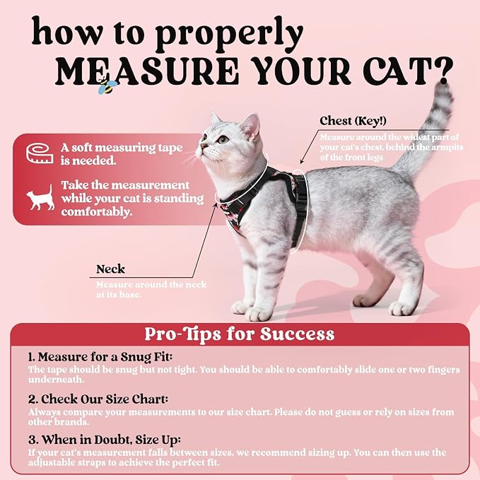 rabbitgoo Cat Harness and Leash Set, Escape Proof Vest, Berry Pounce | Soft Breathable Mesh, Easy Adjustable Fit, Snap Buckles, Sturdy Clip, Reflective Strips, for Small & Average Cats Walks, Xs