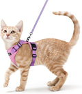 rabbitgoo Cat Harness and Leash Set, Escape Proof Vest, Pink & Light Purple | Soft Breathable Mesh, Easy Adjustable Fit, Snap Buckles, Sturdy Clip, Reflective Strips, for Small & Average Cats Walks, Xs