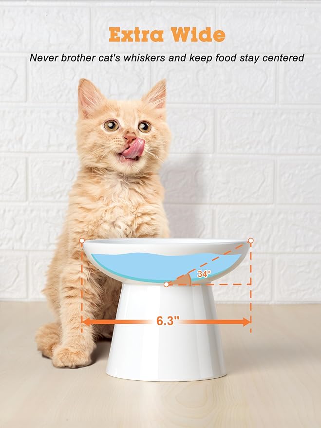 LoeJan Elevated Food and Water Bowls Set, Extra Wide and Raised Ceramic Feeder, Anti-Vomit Whisker-Free Pressure Cat Feeding Bowl for Kittens Adult Cats Small Dogs (White, Food Bowl)