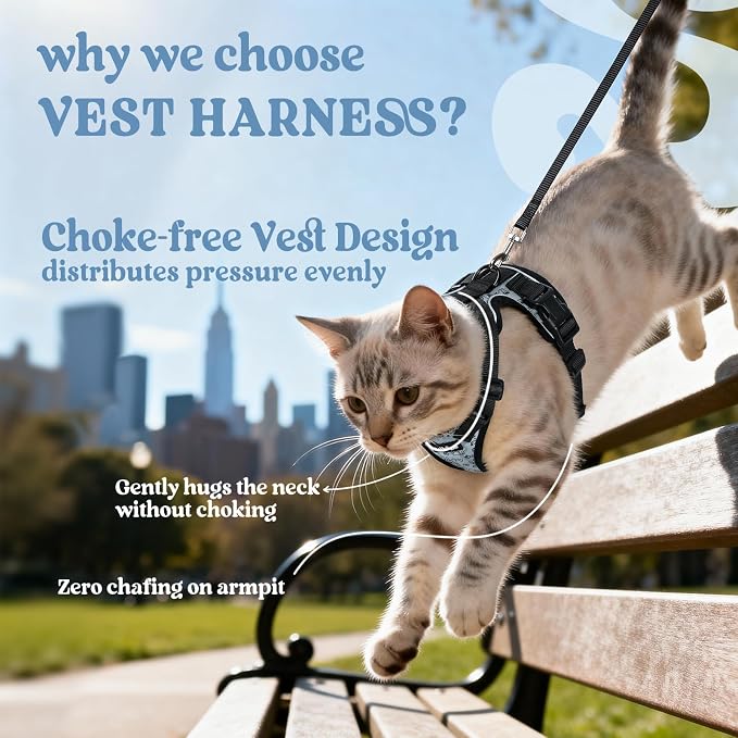 rabbitgoo Cat Harness and Leash Set, Escape Proof Vest, Doodle Gray | Soft Breathable Mesh, Easy Adjustable Fit, Snap Buckles, Sturdy Clip, Reflective Strips, for Kittens & Small Cats Walks, Xxs