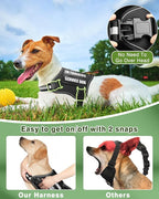 Service Dog Vest Harness and Leash Set+10 Patches for Puppy Small Dogs,Do Not Pet Emotional Support Dog Vest with 2 Soft Padded Handle for Everyday/Training (Black XS) | Adjustable Reflective Do Not Pet Emotional Support Dog Vest with 2 Soft Padded Han...