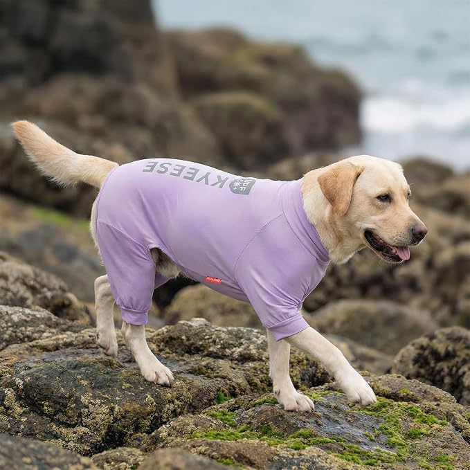 KYEESE UV Protection Dog Shirt, UPF 50+ Cooling Summer Jumpsuit for Medium Large Dogs, Breathable Reflective Shedding Control Dog Sun Shirts, Quick-Dry Dogs Onesie Pet Clothes, Purple, 2XL