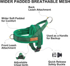 BEAUTYZOO Dog Harness for Small Dogs, No Pull Dog Harness and Leash Set, Soft Escape Proof Puppy Vest Harness with Handle, Reflective Lightweight Step in Harness for Girl Boy Dogs, Green XS