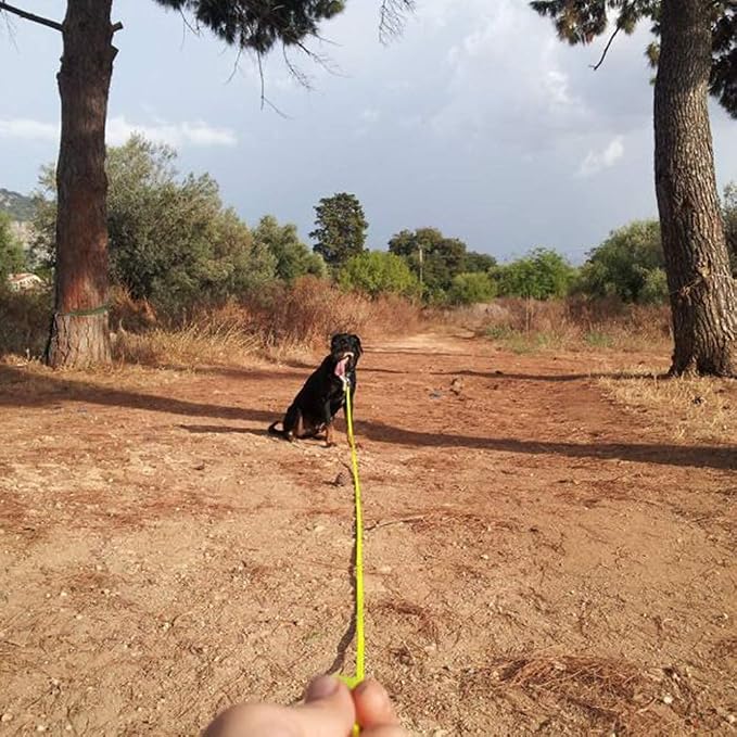 Waterproof Long Dog Leash Recall Training Lead 5 10 16 30 50 Foot for Large Medium Small Dogs Outdoor Training Walking Playing and Camping