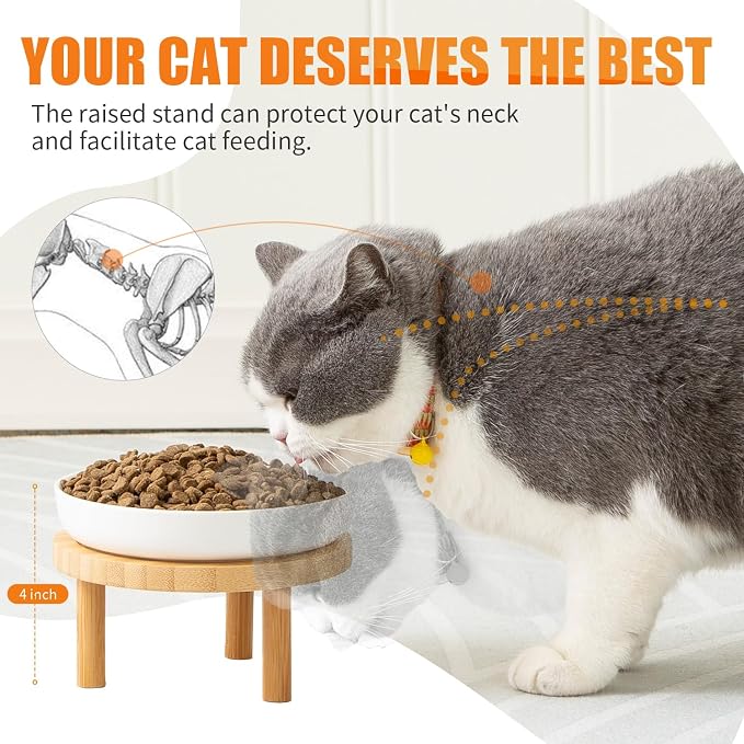 Lusifaco Shallow Wide Elevated Cat Bowls Whisker Fatigue (Blue,Set of 2) | 5.9 Inch 2 Height Raised Ceramic Cat Dishes with Bamboo Stand, Flat Pet Water Food Plates Feeding Station for Indoor Kitten