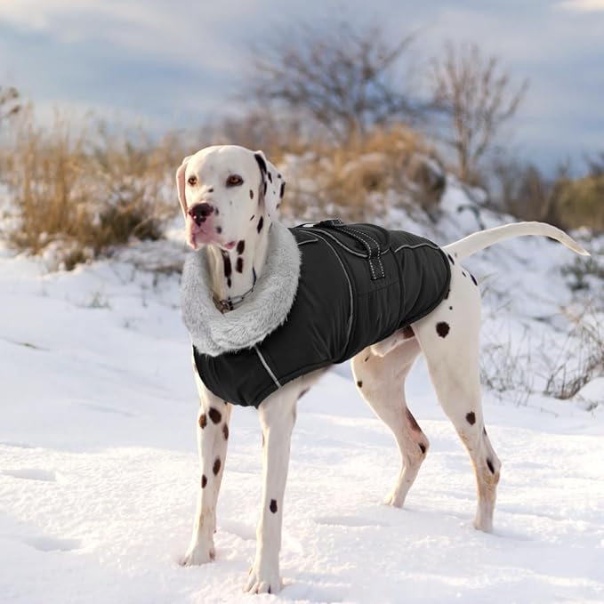 Lelepet Warm Dog Coat Adjustable Dog Fleece Vest Waterproof Jacket for Dogs | Windproof Winter Cold Weather Coats with Adjustable Buckle & Leash Hole Reflective Snow Jackets for Dogs, Black, M