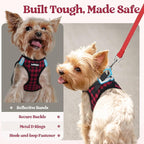 rabbitgoo Dog Harness Small Sized and Leash Set, Step-in Puppy Pet Vest | Light, Soft, Breathable Air Mesh, Easy on and Remove with Hook & Loop, Secure Reflective for Walking, Red Check XS