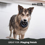 Barkbox Super Chewer Tough Dog Chew Toys for Aggressive Chewers, Dental Stimulating (Radius - Large) | Durable Dog Toy for Aggressive Chewers - Vanilla Scented Chew