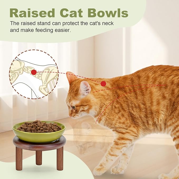 SPUNKYJUNKY Extra Wide Elevated Ceramic Cat Bowl with Acacia Wood Stand Whisker Friendly (Cat Paw Pattern, 2 Pack, Green)